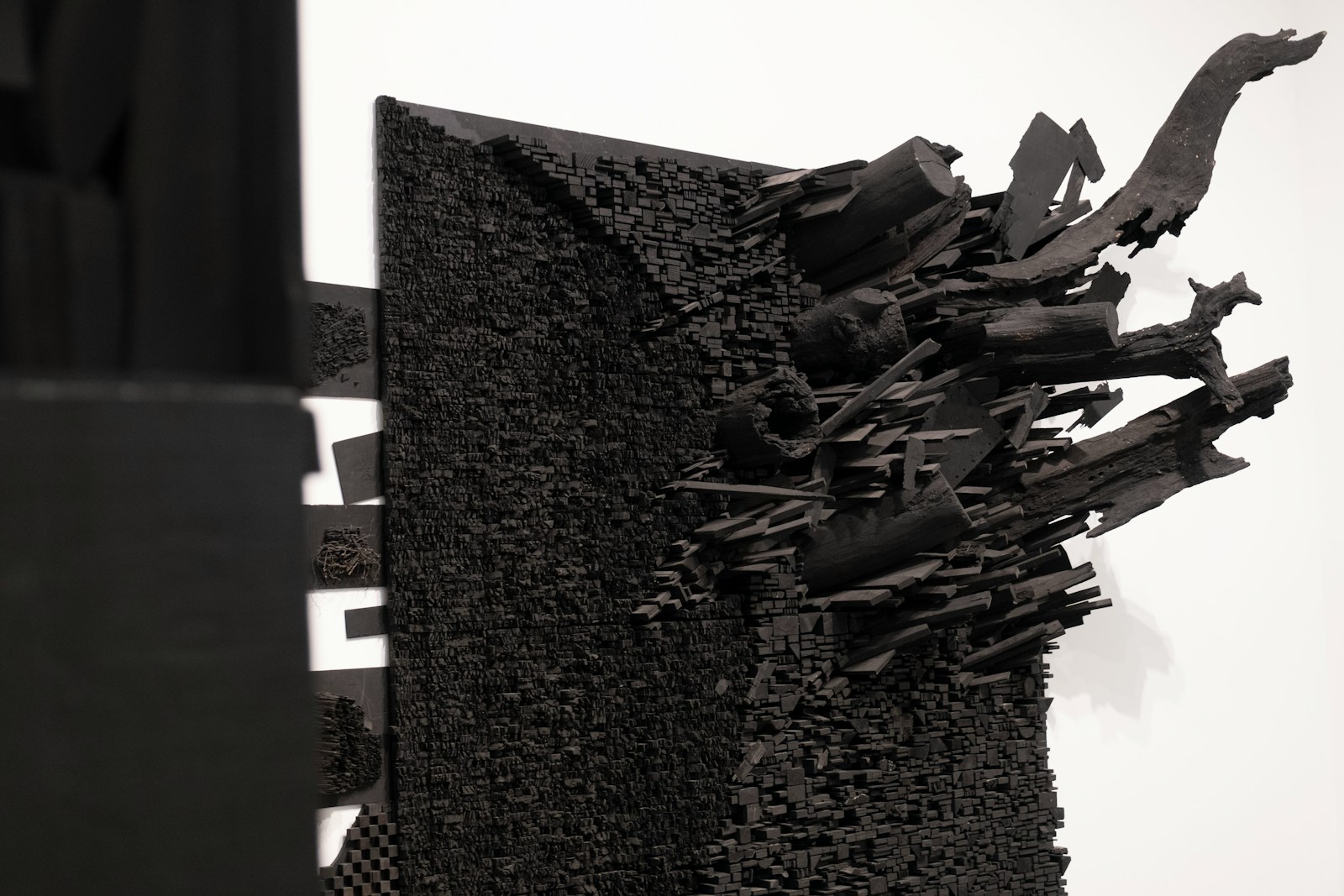 Phone mockup showing identification and pricing screens